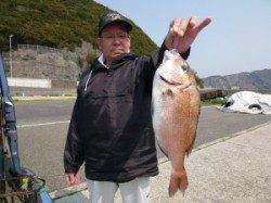 神谷沖一文字内向きのカゴ釣りで40cmのマダイ