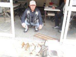 カンゴバエにてチヌ・グレ〜紀北初島の磯フカセ釣り