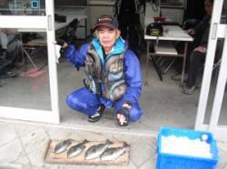 カマ磯でフカセ釣り　グレ25～31cm 4…