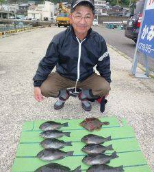 ケムリ島のフカセ釣り、グレとカワハギで楽しめました