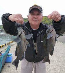 沖一文字内向きのカゴ釣りでグレ36cm・30cm