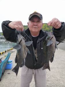 沖一文字内向きのカゴ釣りでグレ36cm・3…