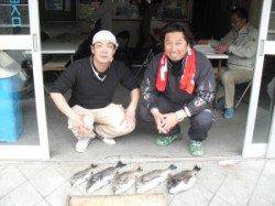 キハチ磯のフカセ釣りでチヌ〜45cmが5枚