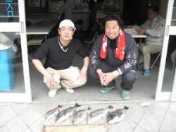 キハチ磯のフカセ釣りでチヌ〜45cmが5枚…