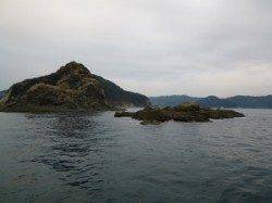 ケムリ島のグレ釣果