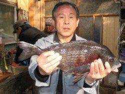 久美浜のカセでチヌ釣り、ヒラメの釣果も♪