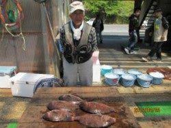 田井観光フィッシング、マダイが好釣です！！