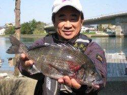 今シーズン第一号51cmの年なし！　宮崎沖カセ