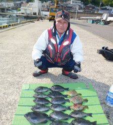 ヒラバエのカゴ釣りでグレ・カワハギ・チャリコ、ほか良型イサギも♪