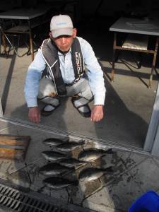 カマ磯のフカセ釣りでグレの釣果