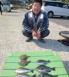 ヒラバエでのかご釣り＆フカセ釣り釣果　イサギ&チャリコ