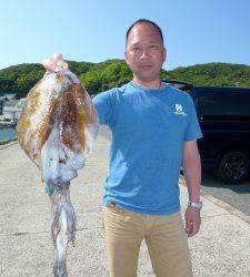 神谷一文字でヤエン釣り　キロアップも出ています