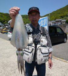 神谷一文字でヤエン釣り　キロアップも出ています