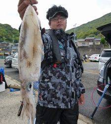 エギングでアオリイカ1.1kg　神谷の沖一文字内向きでの釣果