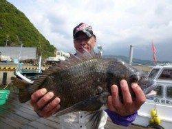 由良神谷の1号イカダで年なしチヌ50cm！