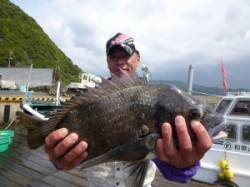 由良神谷の1号イカダで年なしチヌ50cm！…