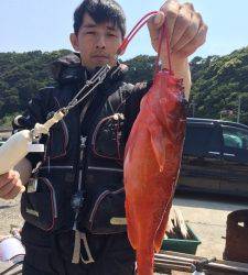 沖の赤島底物狙いのサルボで高級魚のアカハタ釣れました☆