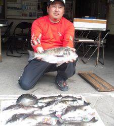 有田カマ磯にてチヌ44cm頭に8尾と好釣！！他にグレも