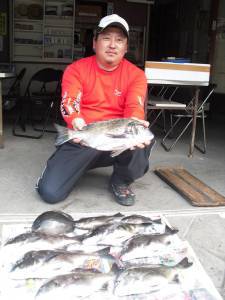 有田カマ磯にてチヌ44cm頭に8尾と好釣！…
