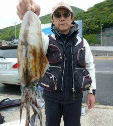 神谷一文字と沖一文字内向きにてヤエンのアオリイカ釣果