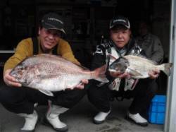 大磯でマダイ59cm！ ほかチヌ・アイゴも…