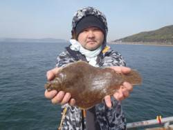 須磨海づり公園でメイタガレイ30cm