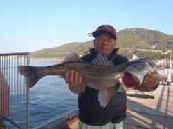 ウキ流し釣りでスズキ75.0cm in 須磨海づり公園