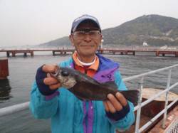 須磨海づり公園　サビキ仕掛けで29cmのメ…