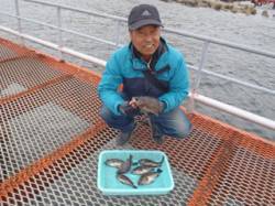 須磨海釣り公園　落とし込みでメバルの釣果