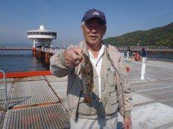 須磨海づり公園　落とし込みでアイナメ29cm！