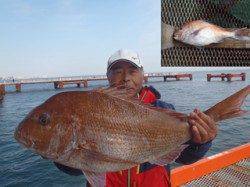 ウキ流し釣りで71.5cmの大物真鯛！須磨海づり公園