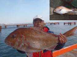 ウキ流し釣りで71.5cmの大物真鯛！須磨…