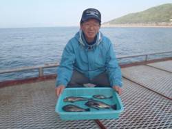 須磨海づり公園 良型メバルとアイナメの釣果…