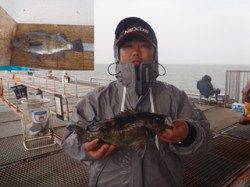 雨の中尺メバル出ました♪　須磨海づり公園