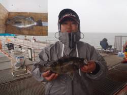 雨の中尺メバル出ました♪　須磨海づり公園