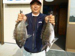 湯浅の磯のフカセ釣果　チヌ・アイゴ