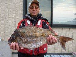 湯浅の磯フカセ釣りでマダイ60cmヒット！