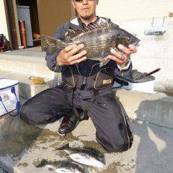 フカセでの良型チヌ釣果〜湯浅の磯