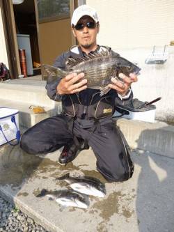 フカセでの良型チヌ釣果〜湯浅の磯