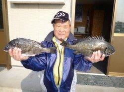 湯浅の磯でフカセ　チヌ、良型が釣れています！