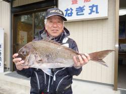 湯浅の磯のフカセ釣りで良型マダイ好調でした…