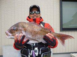 湯浅の磯でマダイ65cm・52cm&チヌ46cm