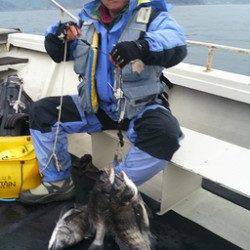 【13日】湯浅の磯フカセのチヌ釣果