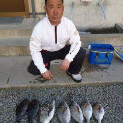 湯浅の磯でチヌ49cm