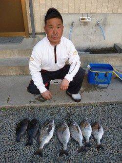 湯浅の磯でチヌ49cm