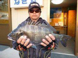 湯浅の磯でチヌ49cm