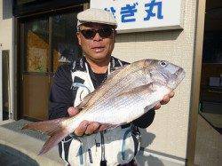 湯浅の磯フカセでマダイとチヌの釣果