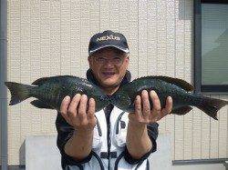 湯浅の磯のチヌ・グレ釣果