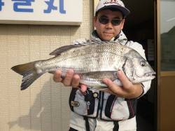 湯浅の磯のチヌ・グレ釣果