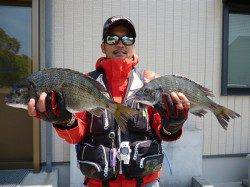 湯浅の磯フカセ釣りでのチヌ釣果